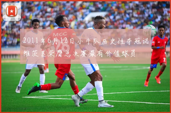 2011年6月12日小牛队历史性夺冠诺维茨基荣膺总决赛最有价值球员
