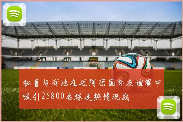 秘鲁与海地在迈阿密国际友谊赛中吸引25800名球迷热情观战