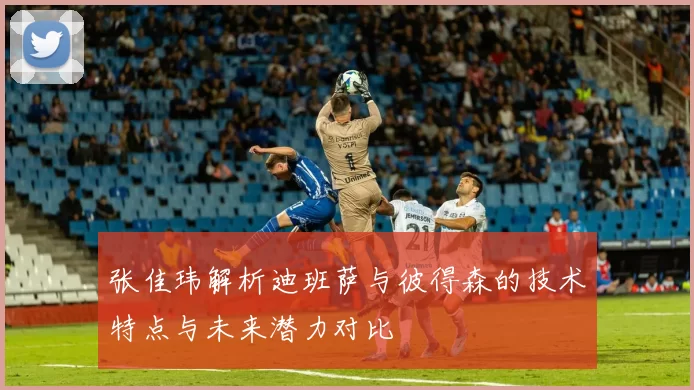 张佳玮解析迪班萨与彼得森的技术特点与未来潜力对比